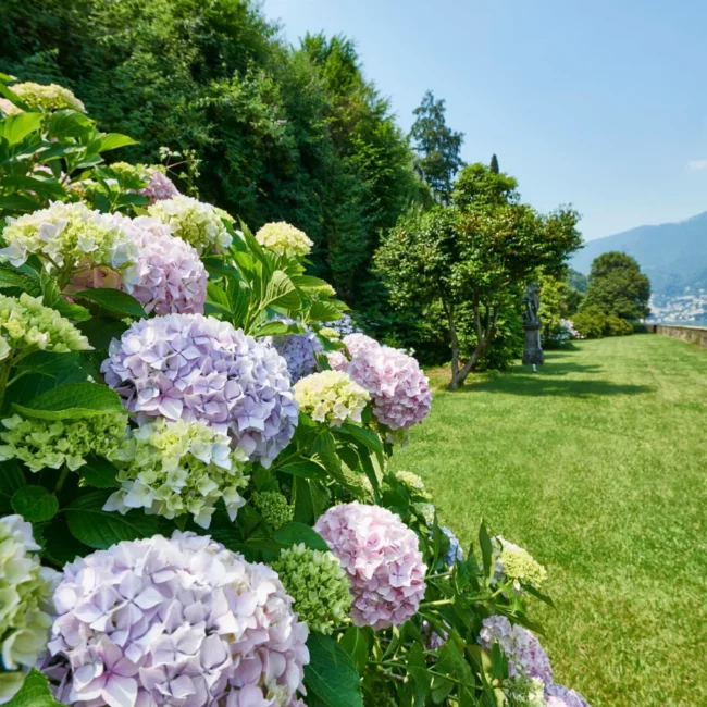 Villa Pliniana Lake Como