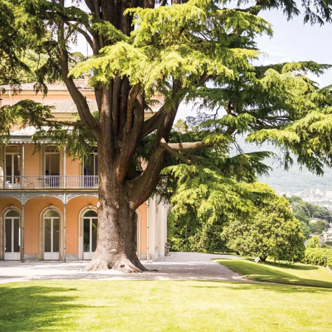 Villa del Grumello lake como